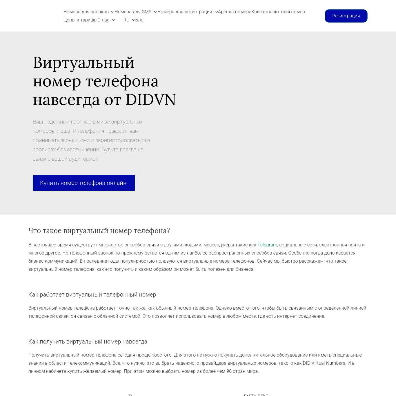 Скриншот сайта didvirtualnumbers.com