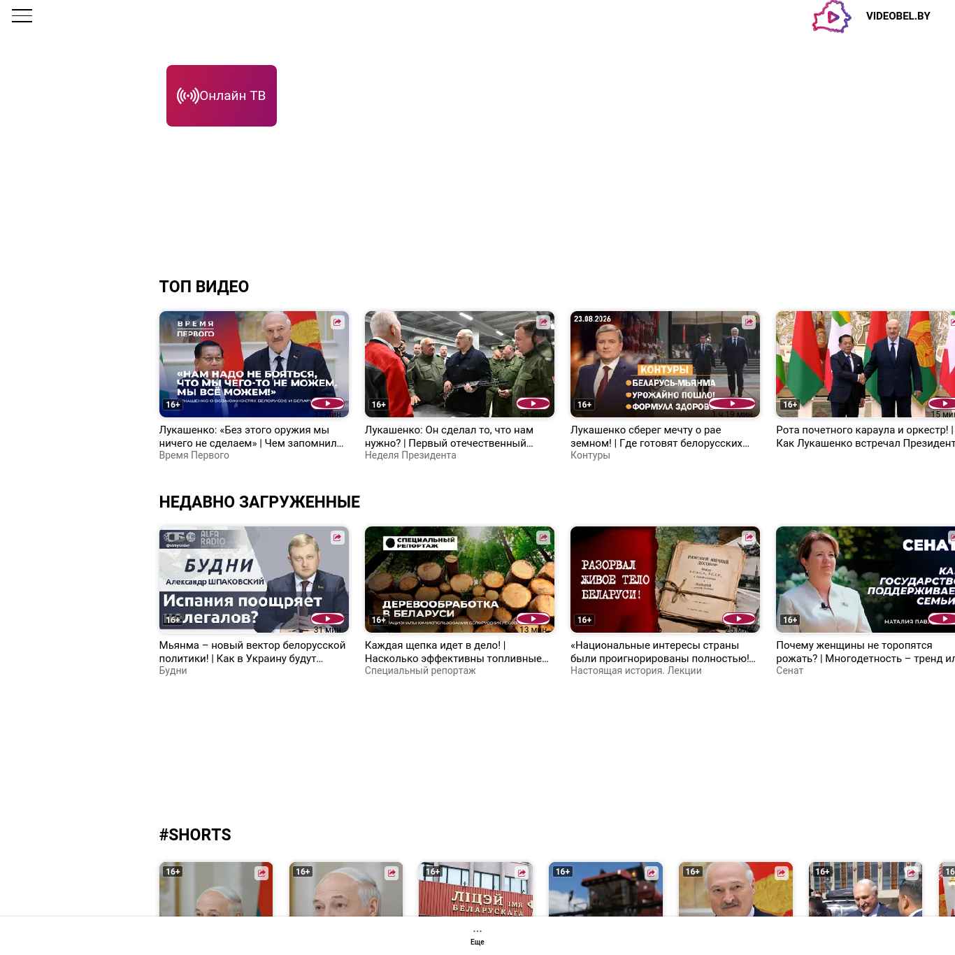Скриншот сайта videobel.by