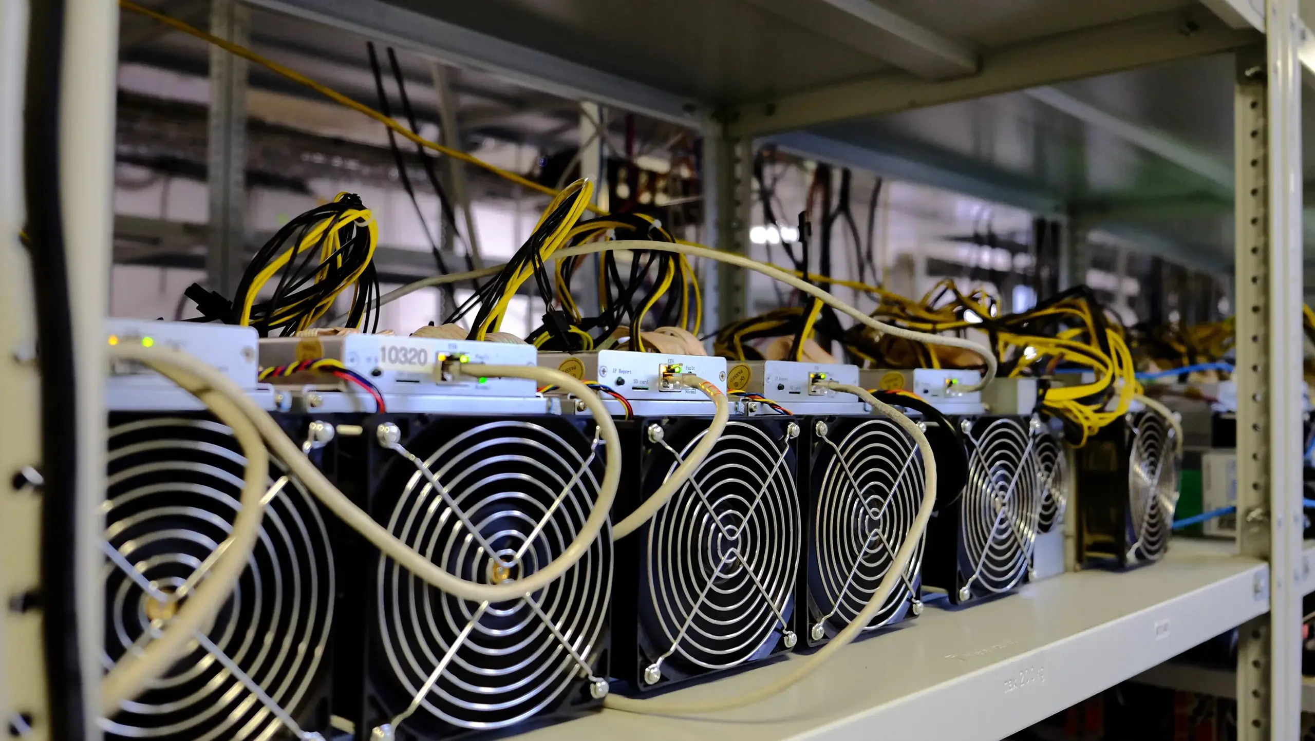 Майнинговое оборудование в дата-центре